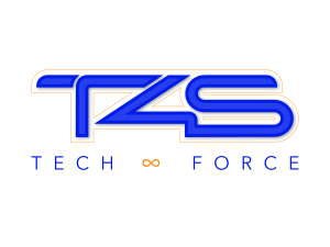 T4S Logo